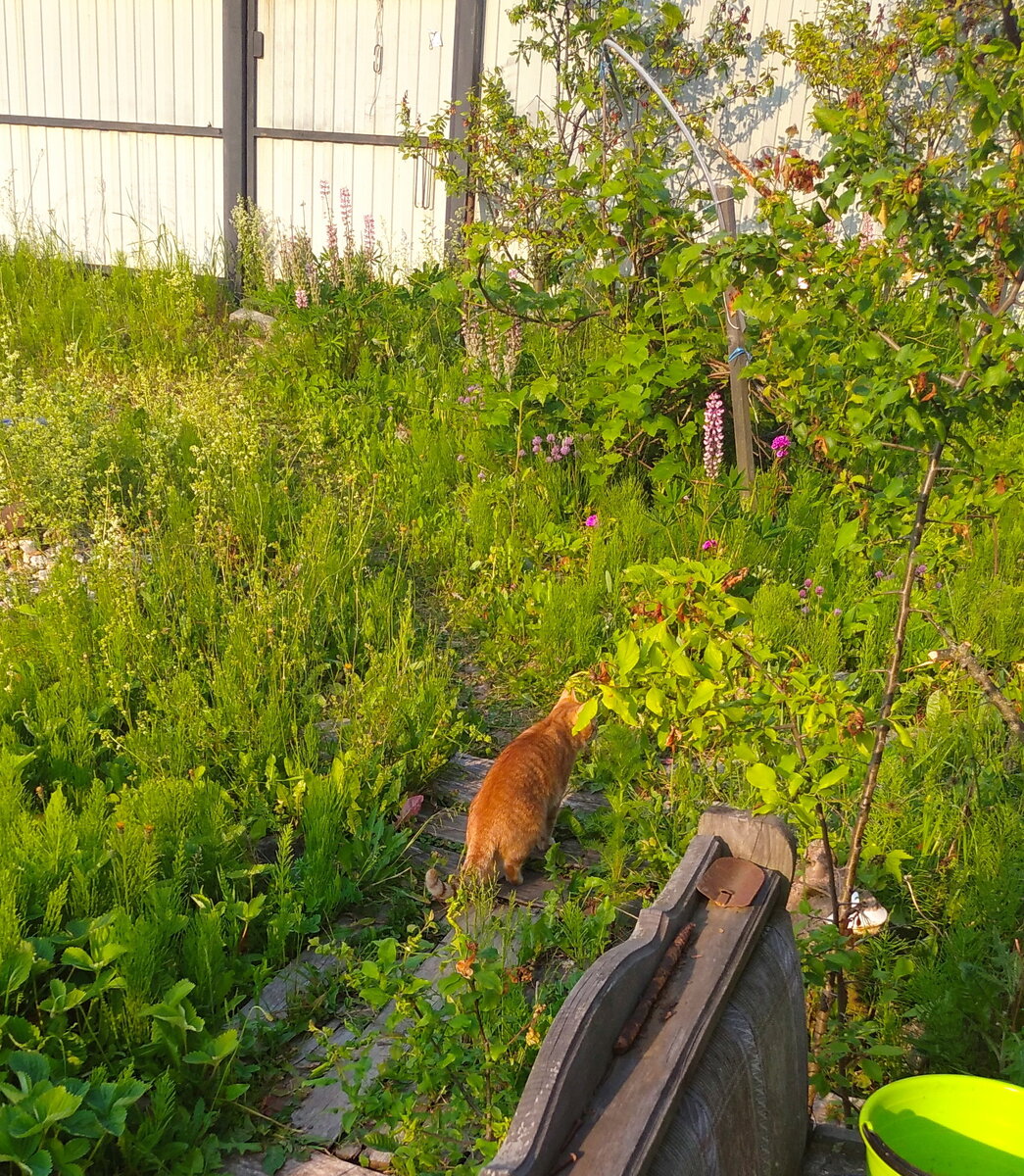 Личное  фото