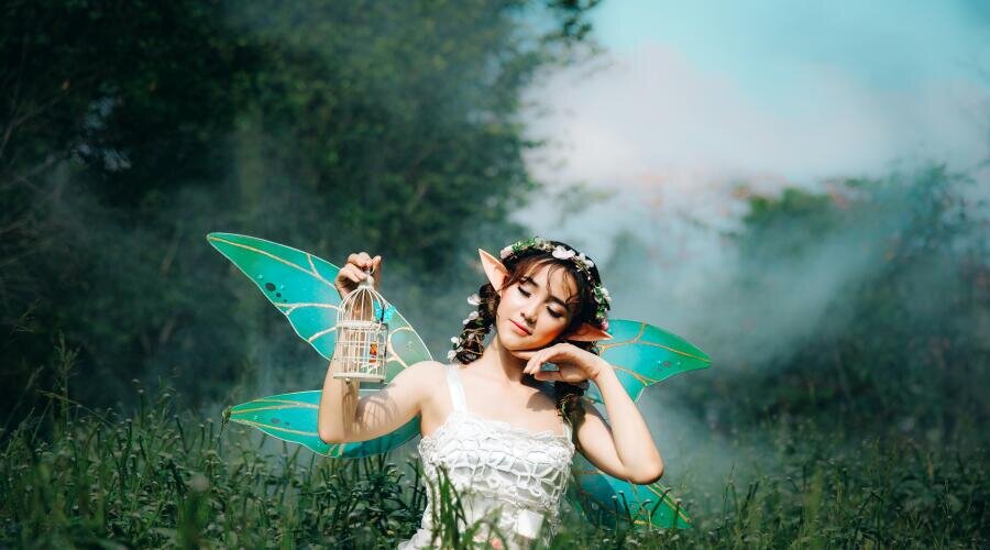    Что такое Сад для фей? Фото: Anthony Tran on Unsplash