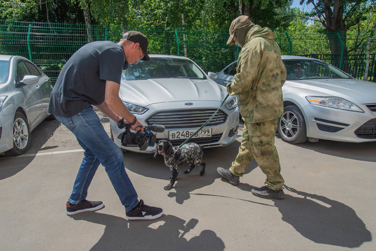 Региональный проект прочтение пенза