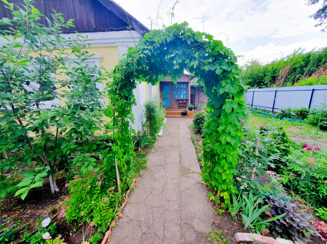 А какой же красивый всё-таки у них сад. Может арка всему виной и нам её тоже надо?)