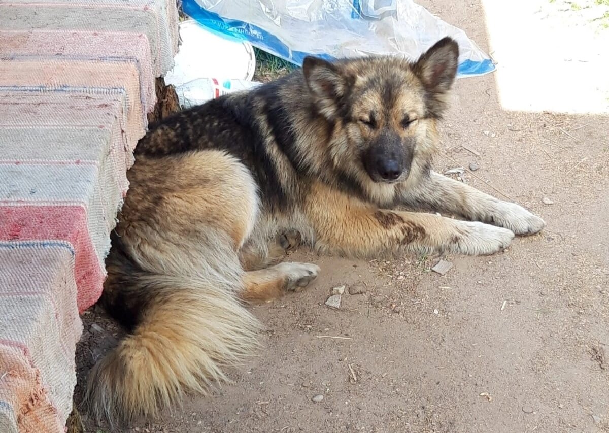 Красавец Миша 