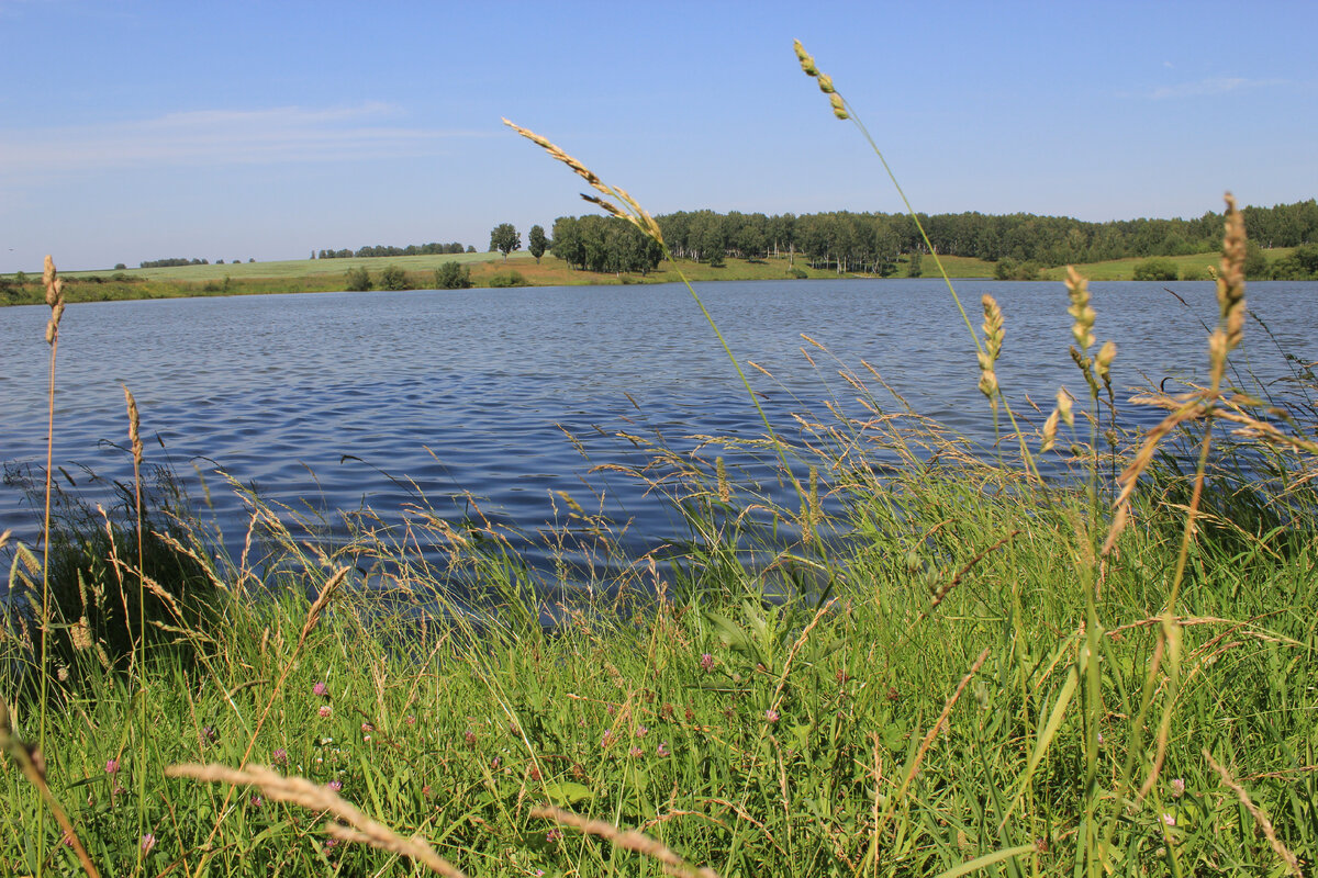 Фотография из личного архива. Прокопьевский район, п. Артышта 