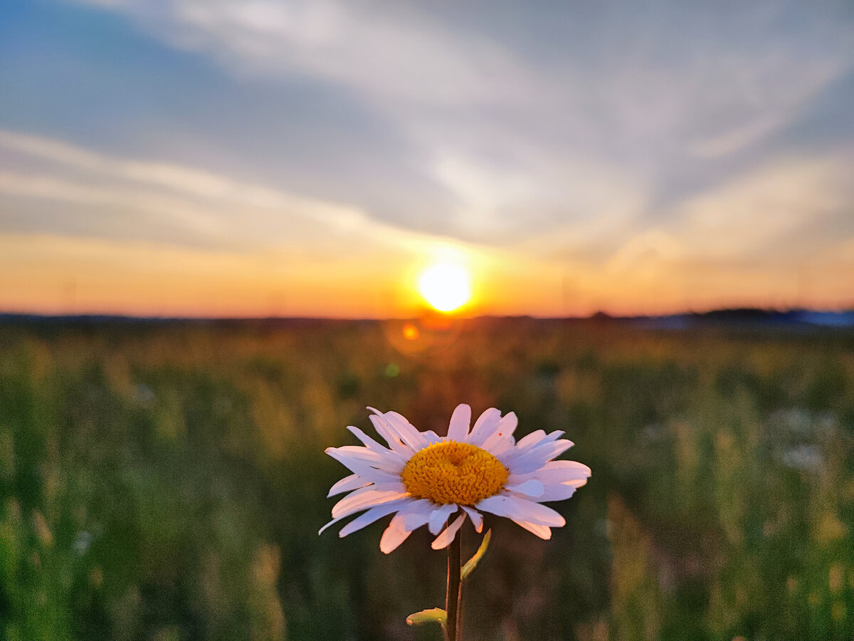 Вечерний Обнинск