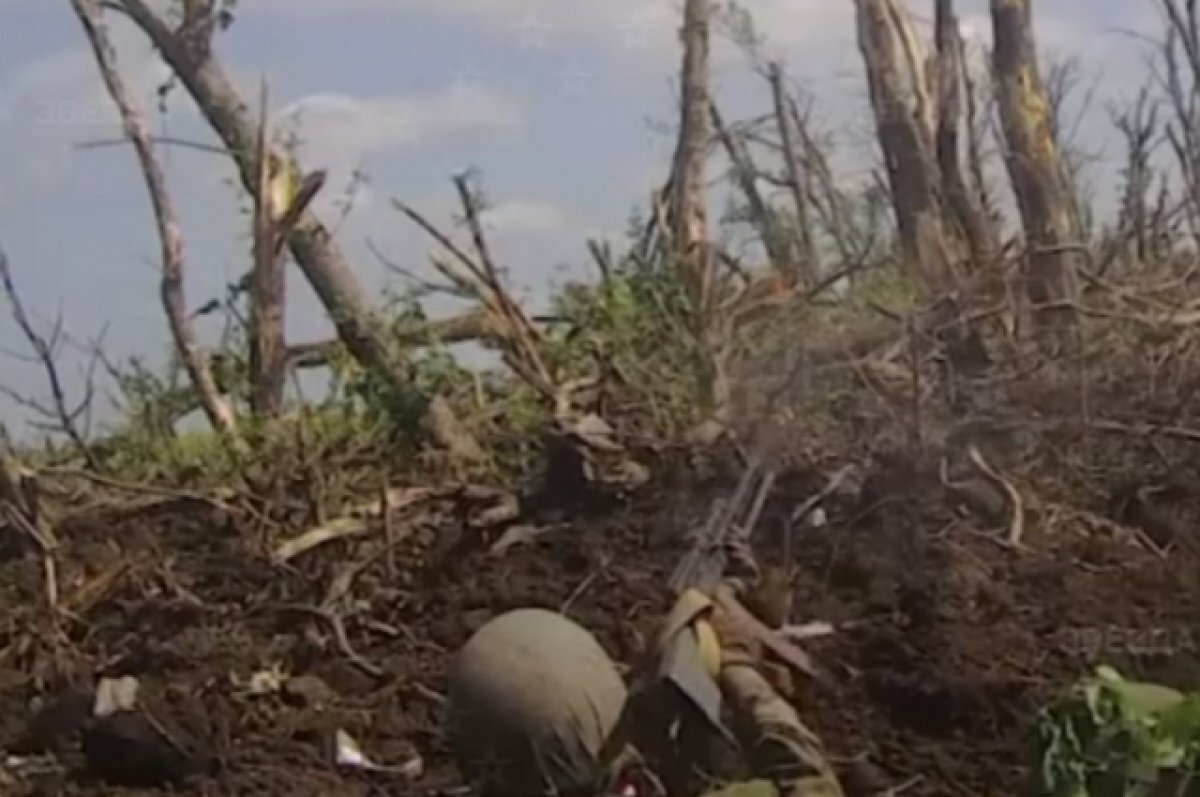    «Звезда»: разведчики ВС РФ отразили 30 атак БПЛА за одно утро