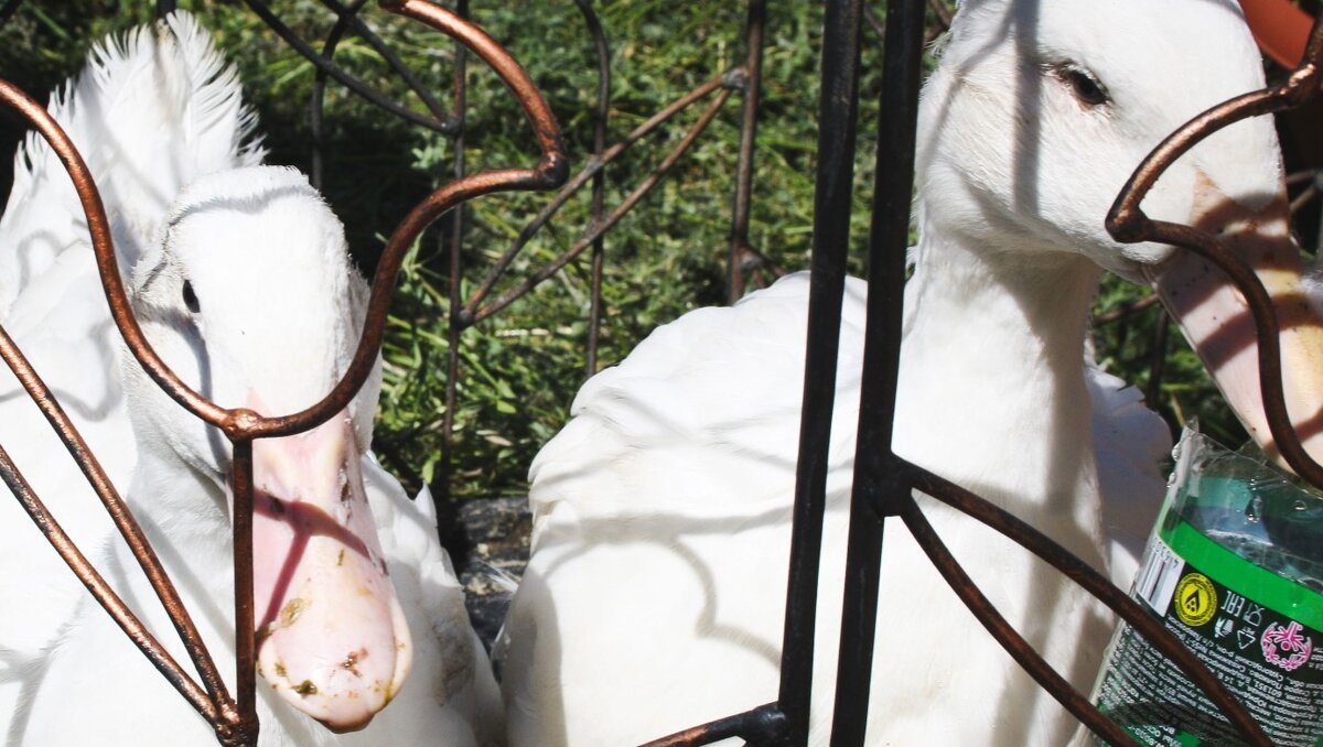     Ежедневно в регионе происходит порядка 15-20 техногенных пожаров. И практически каждый день встречаются те, причина которых — неосторожное обращение с огнем, как детьми, так и взрослыми.