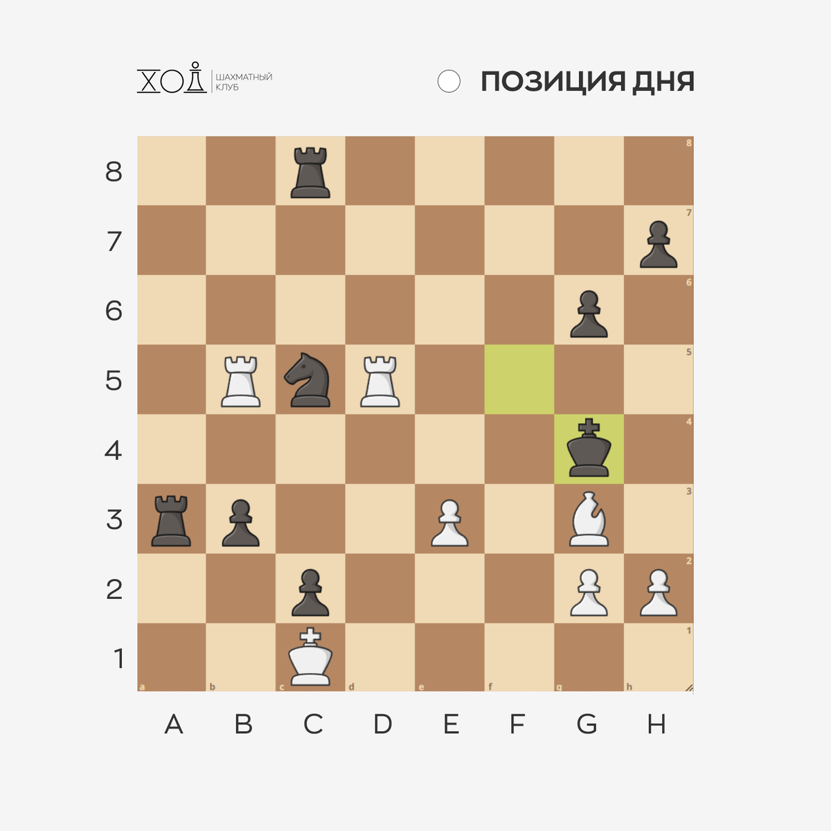 Шахматы в Пятигорске. Задачи по шахматам