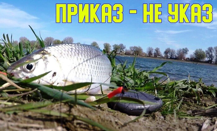 Карта нерестового запрета