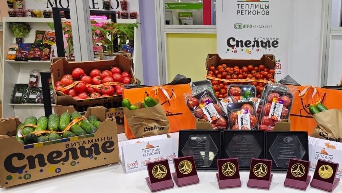     На тепличном комплексе «Пермский» с начала года выращено около 12 тыс. тонн помидоров и огурцов.