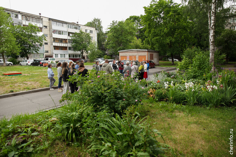    У дома № 40 по улице Архангельской оформили семь клумб с шалфеем, хостой, люпином, вейником и овсяницей