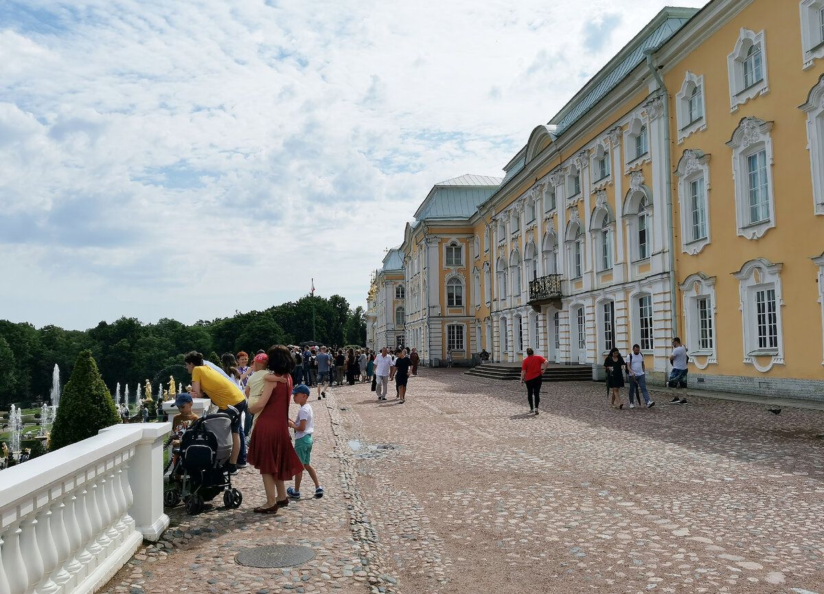 Петергоф. Часть №1. Большой Петергофский дворец | Петербург знакомый и  незнакомый | Дзен