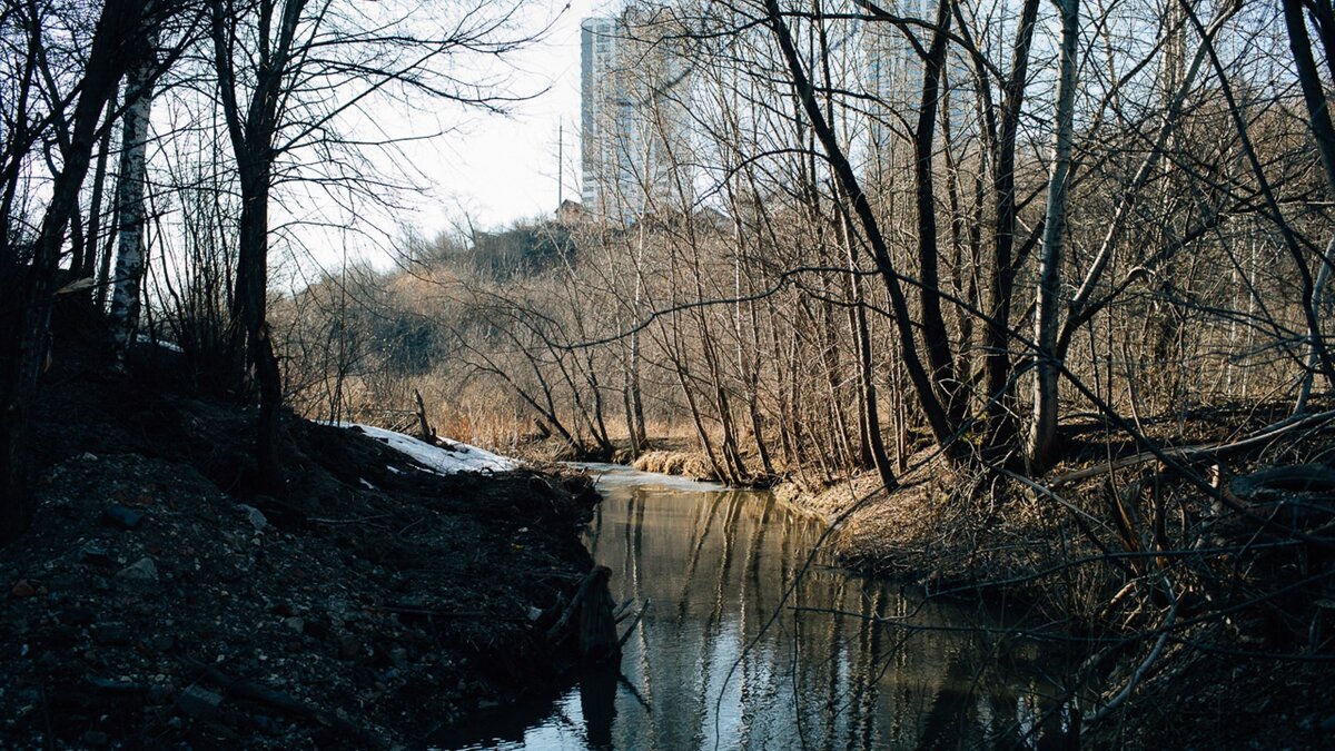     Новую мини-переправу обнаружили горожане во время прогулки по району, фото опубликовали в соцсетях.