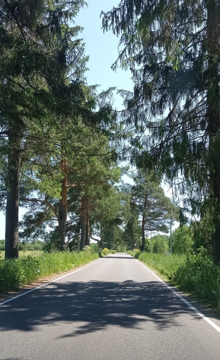 Да встречи с трактором😁