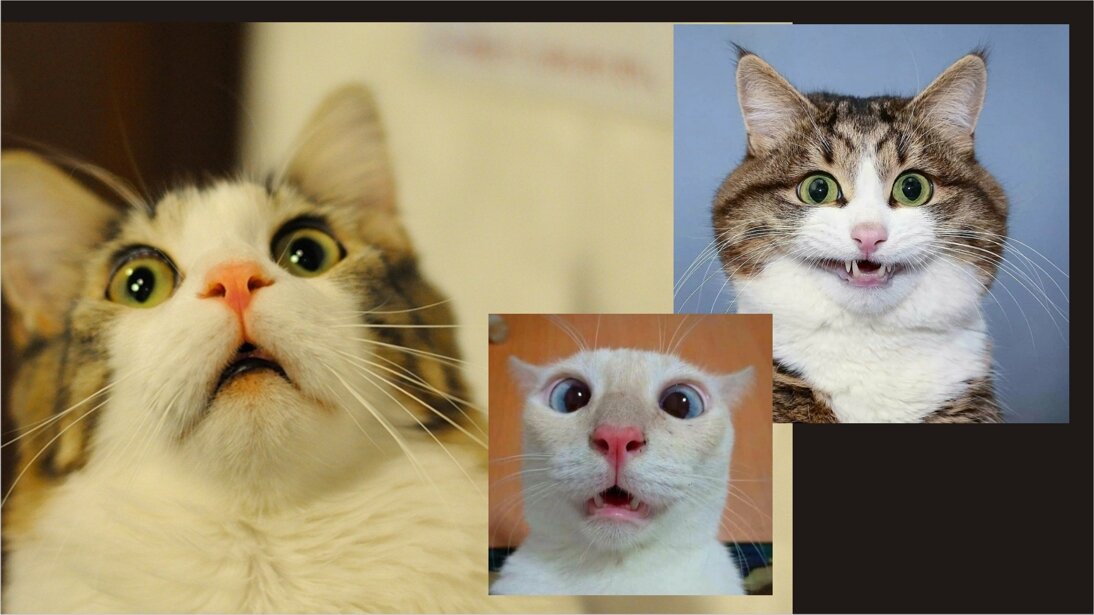 Ну да, а вы как думали? ))