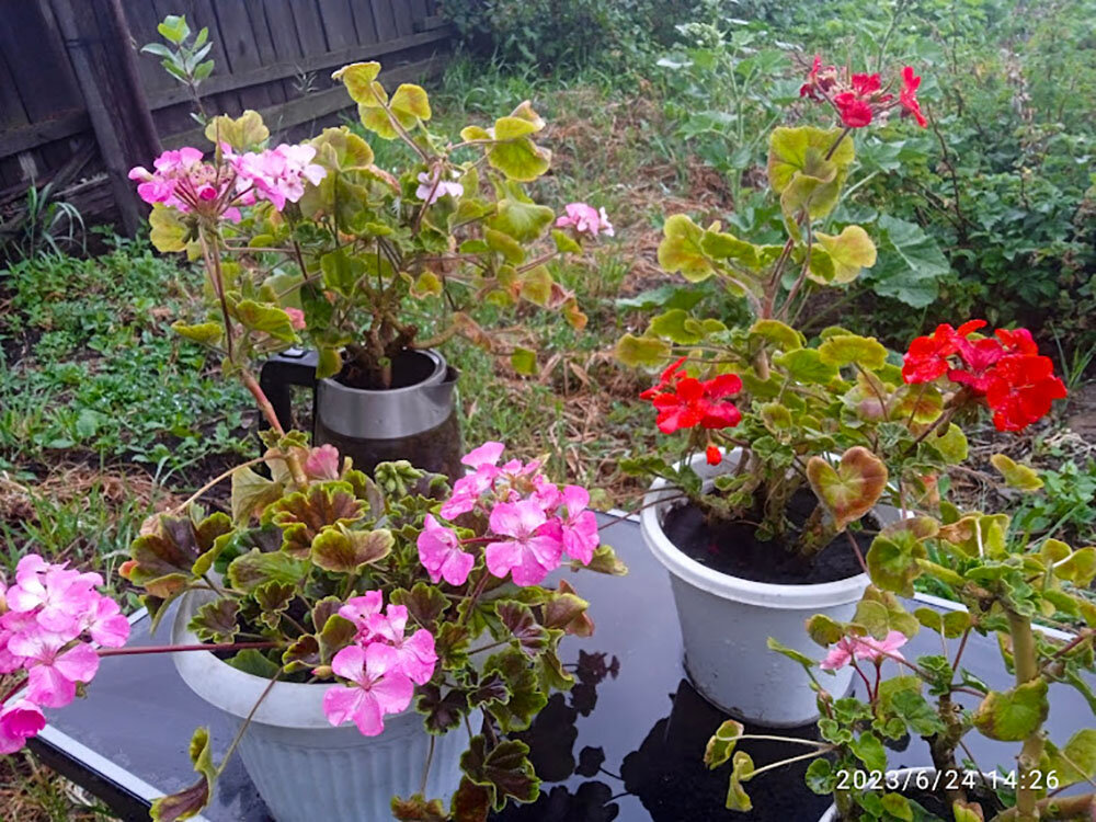 Немного краски - разбавить серость