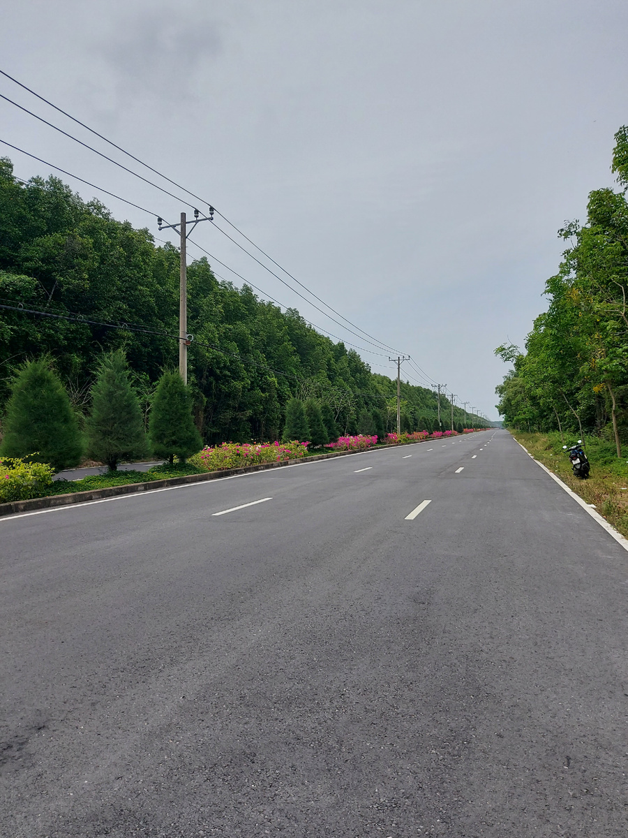 Дорога до заповедника