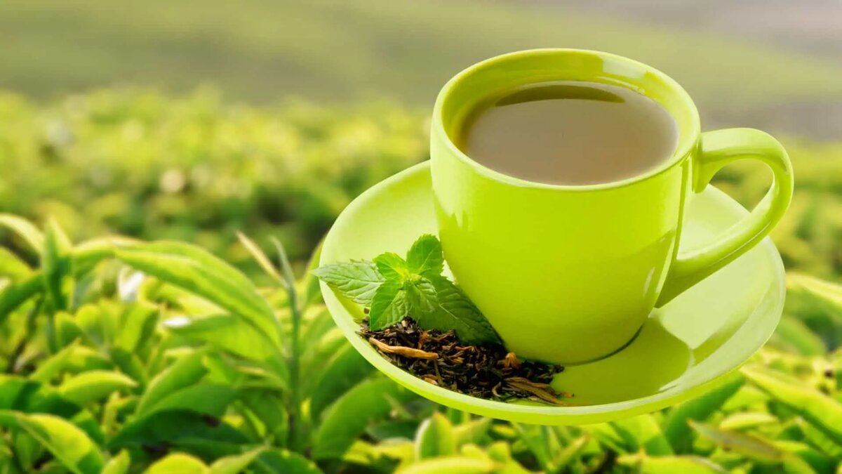 зеленый чай картинки