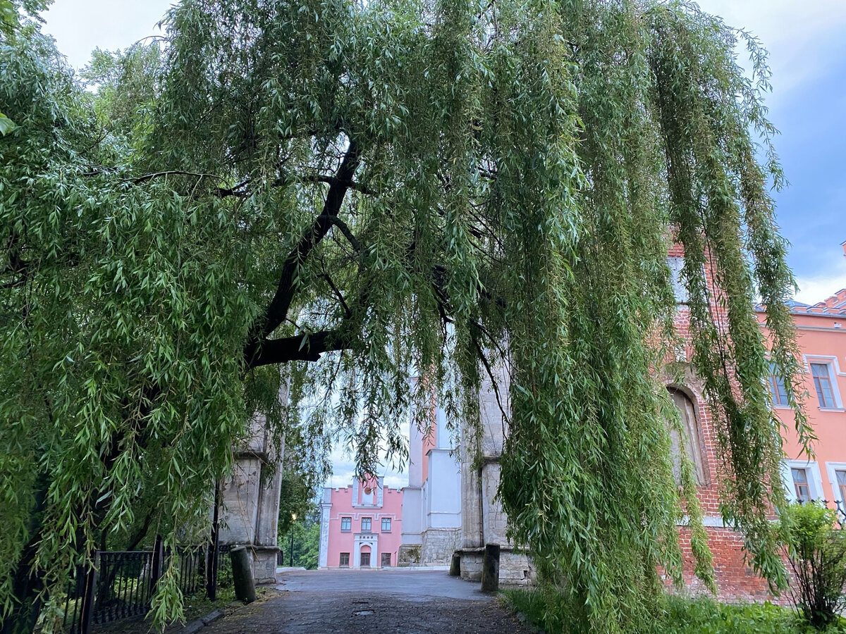 Усадьба Марфино ворота главного входа. Фотография автора канала "В мире красивых вещей"