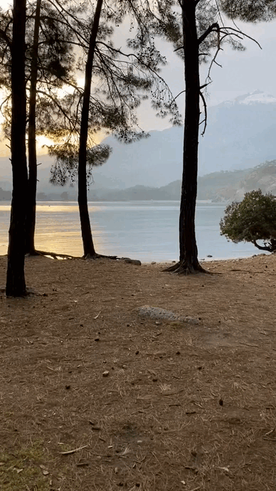 Вид с Фаселиса на последнюю бухту по нашему маршруту. Дальше - поселок, автобус и домой - в Анталию на ужин)