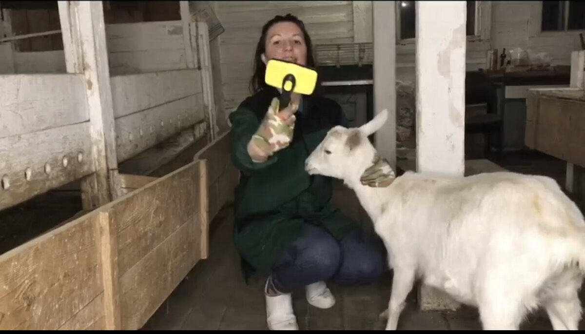 Щетка для вычёсывания