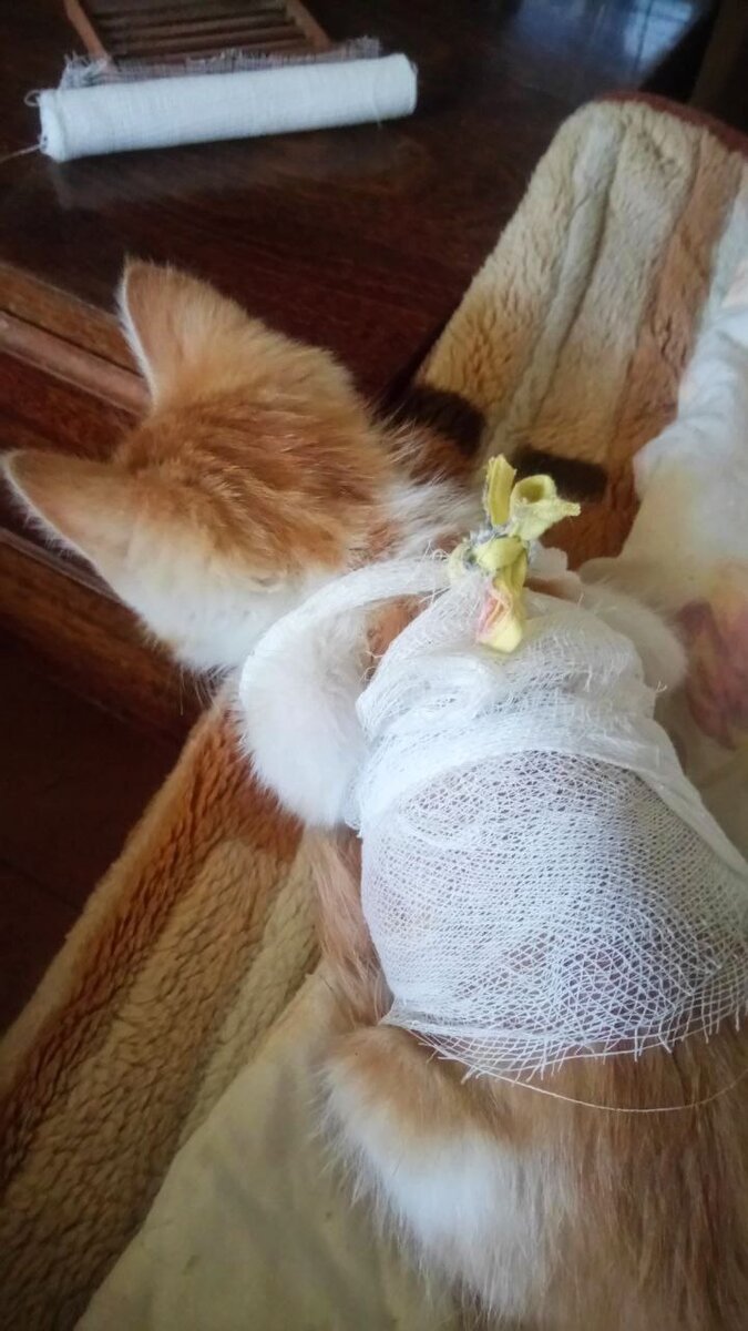 Летний вариант