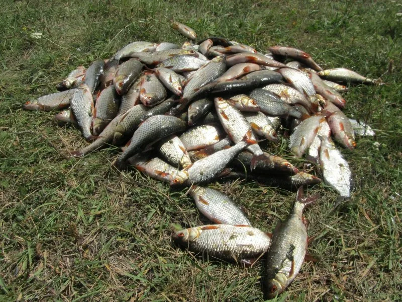 Фото: Яндекс.Картинки