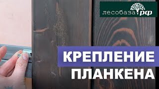 Как крепить планкен. Крепление планкена на металлическую подсистему