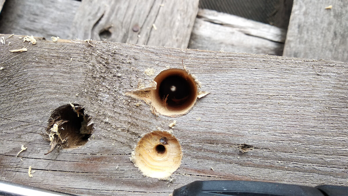 Шуруповерт дома – это почти аксиома. Он давно стал одним из обязательных инструментов, которые нужно держать дома просто так, чтобы были.-14-3