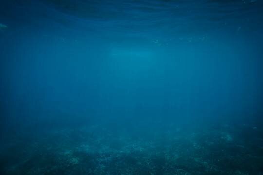    Компания OceanGate продолжает продавать туры на батискафе к обломкам «Титаника» за 250 000 долларов