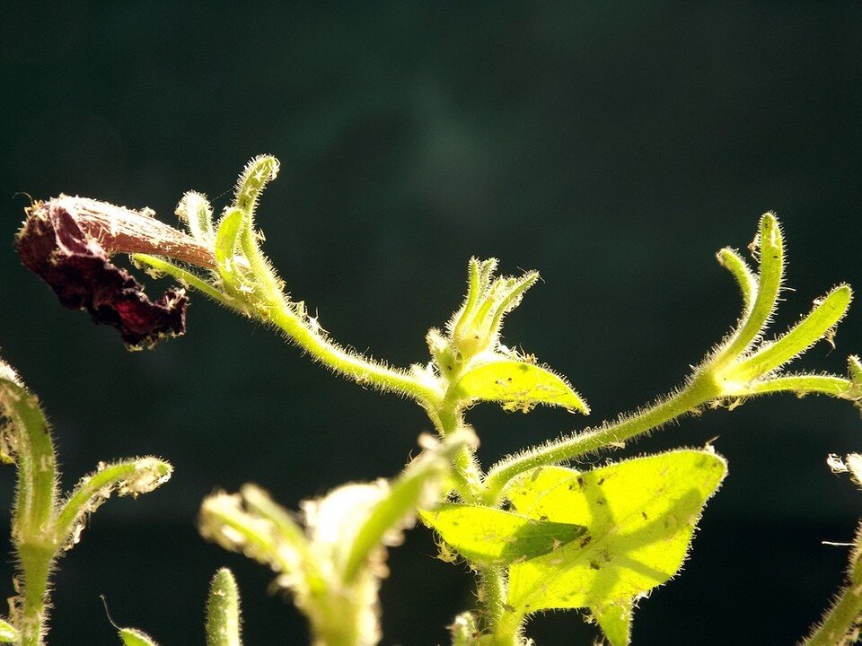    ShutterStock/Fotodom.ru