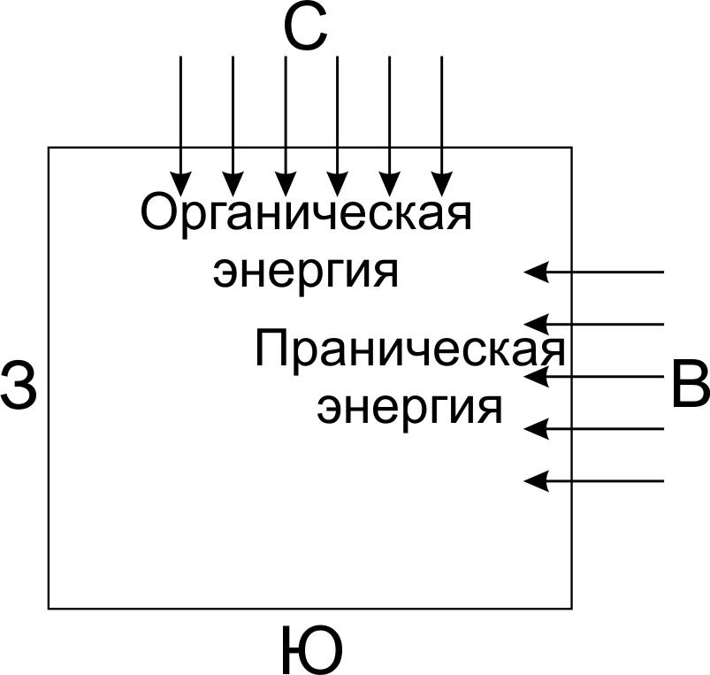 7 потоков энергии. Праническая энергия. ОРГАНИЧЕСКИЙИ пранический поток энергии. Органическая и праническая энергия Васту. Прана энергия.