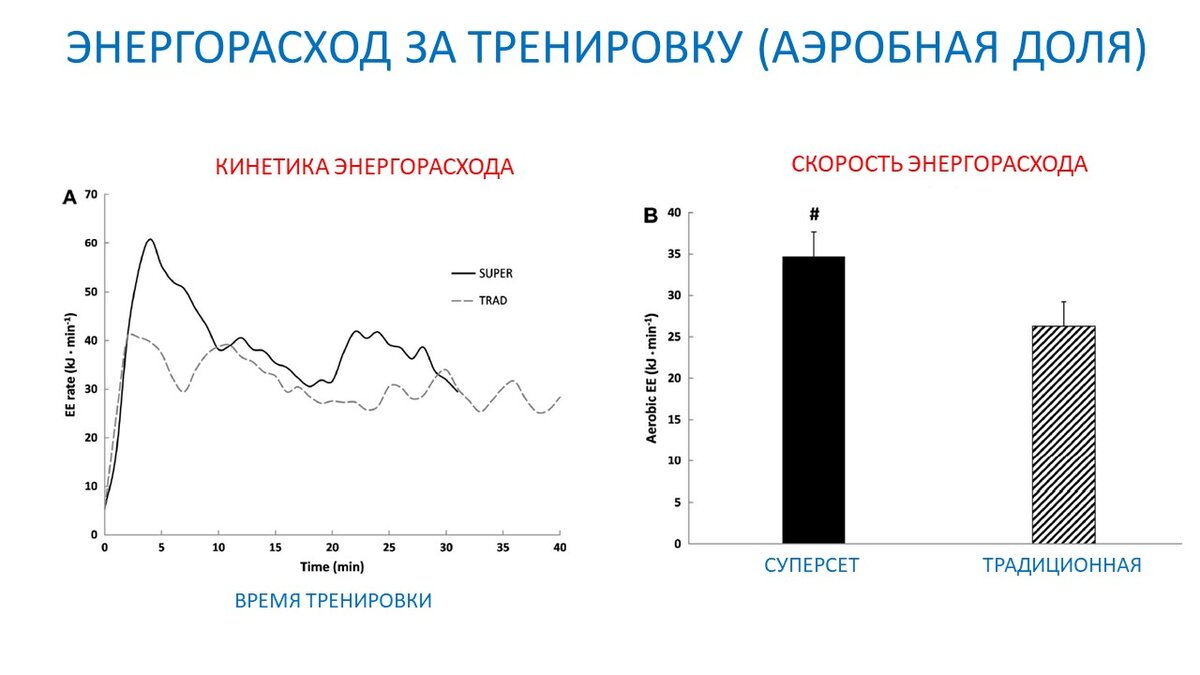 Энергорасход при разных силовых тренировках. Научный эксперимент | Василий  Волков | Дзен