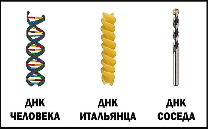 ДНК ЕСТЬ У ВСЕХ.. (pikabu.ru)