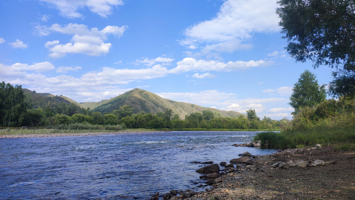 Река Чарыш горный Алтай