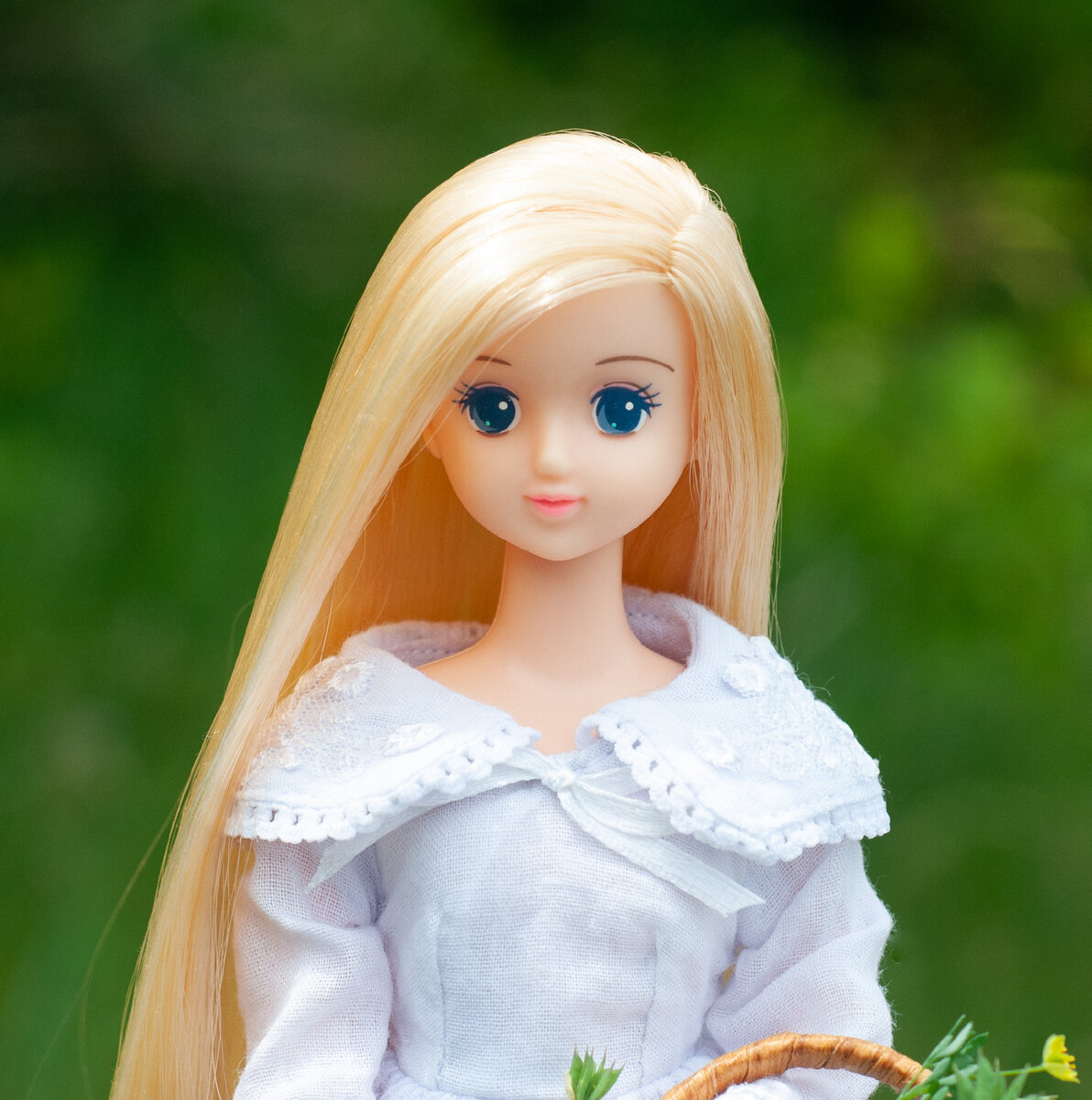 куколка дзен. из кедра ольги сорокиной.