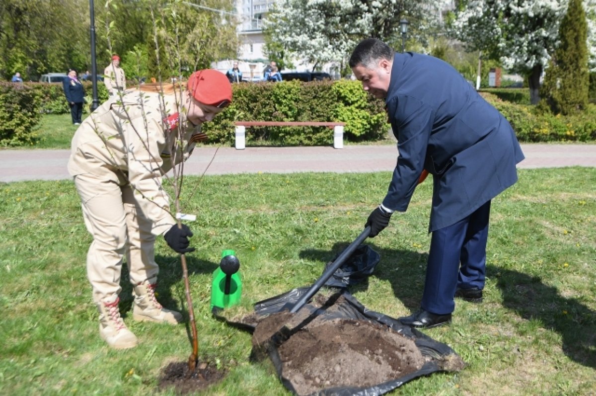    В Твери Игорь Руденя вместе с юнармейцами высадил яблони на братской могиле