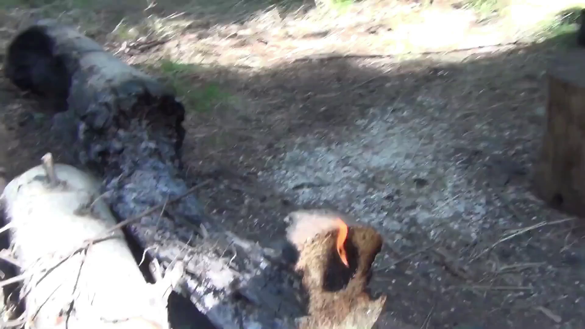 Ветер в тайге загорелось бревно - (смотрите на видео внизу статьи)