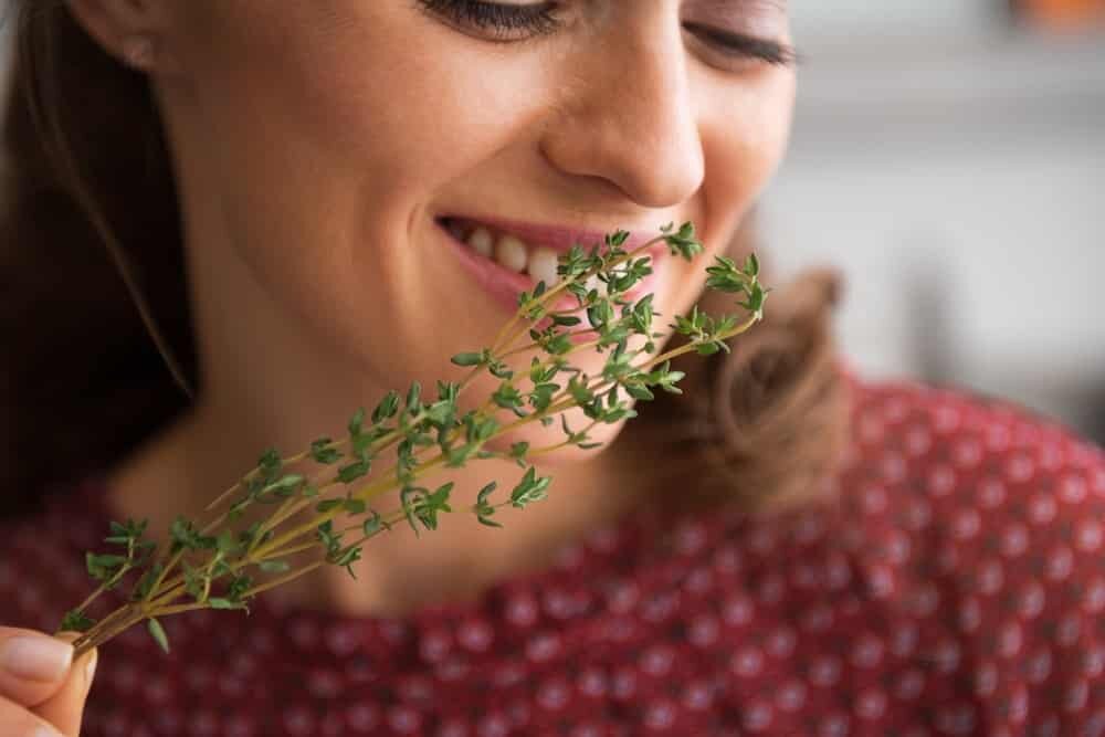 Ощущение вкусовых оттенков влияет не только на сиюминутную вкусовую реакцию, но также формирует новые образы, опыт, развивает нейронные связи.