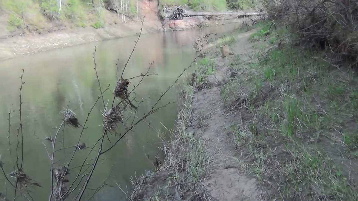 РЫБАЛКА ТАЙГА Утро 10-й день в тайге КРАСИВЫЕ ПЕЙЗАЖИ ТАЙГИ ПОДЛЕСОК - (смотрите на видео внизу статьи)