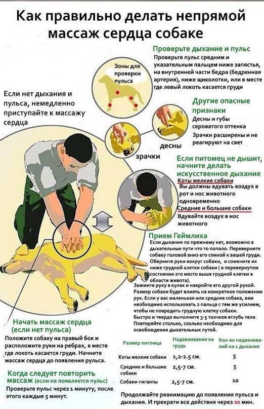 Анальгин с димедролом передозировка, помогите - Советчица