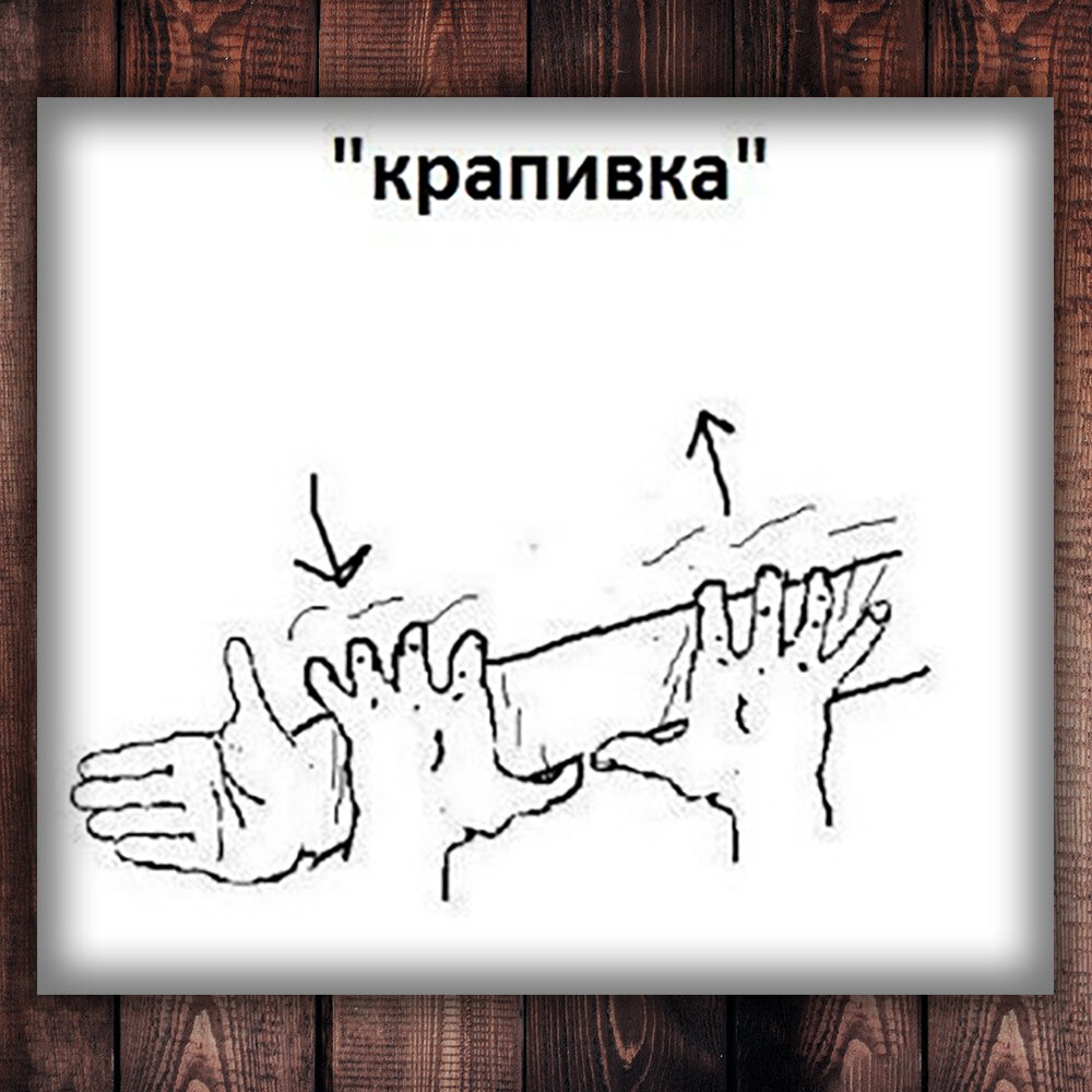 Хочешь, Москву покажу?», - говорили и поднимали за уши. Крапивка на руке,  слива на носу. Странные развлечения детства | Степан Корольков~Хранитель  маяка | Дзен