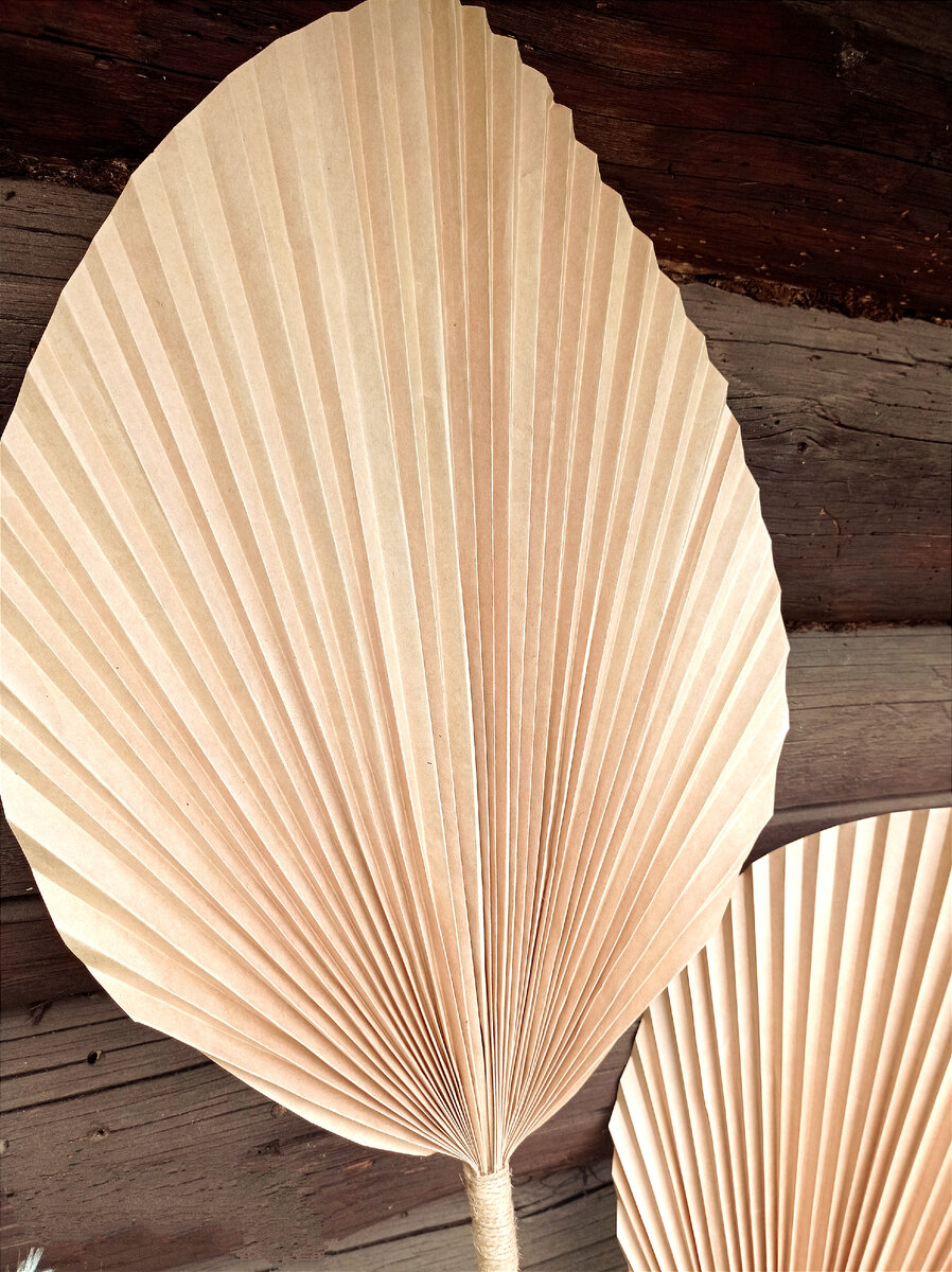 Веер из бумаги