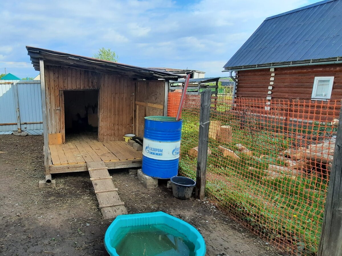 Вооон там внутри сидят две гусыньки.