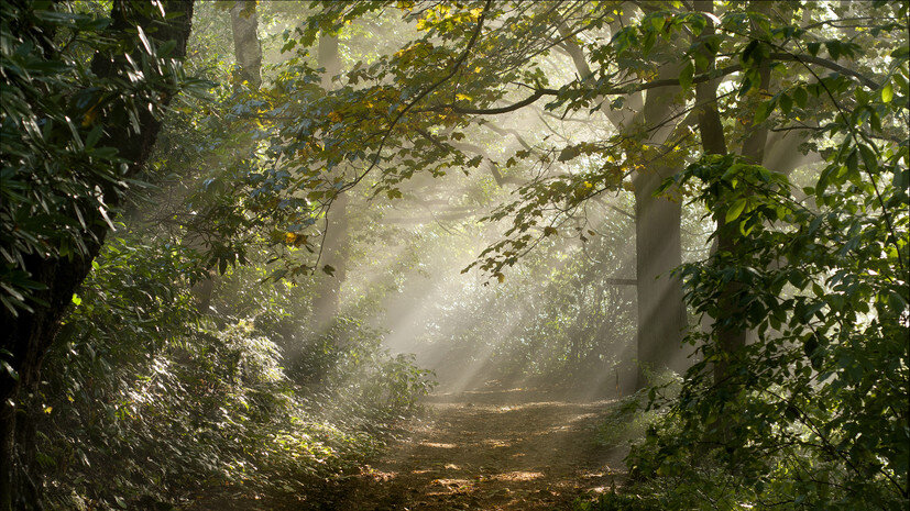   Gettyimages.ru Terry Roberts Photography