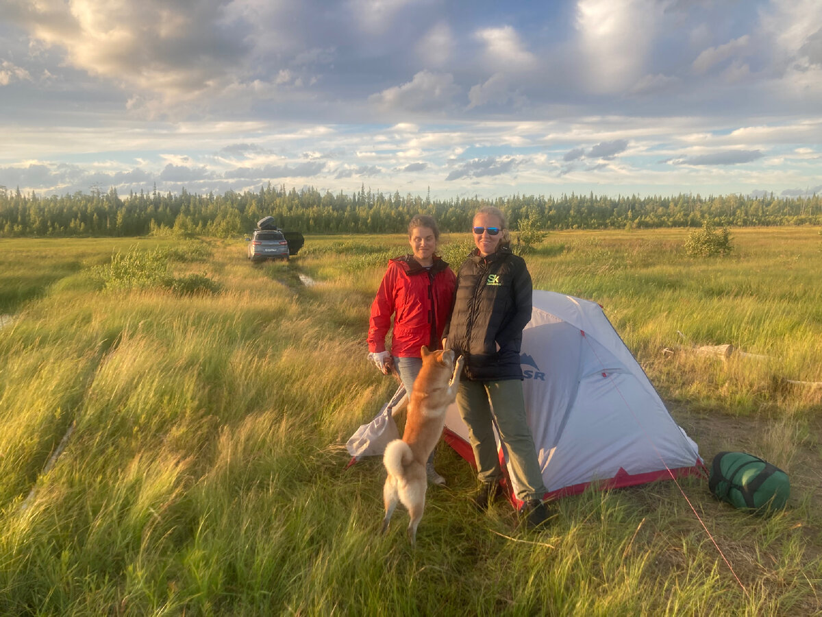 Прохлаждались на болоте