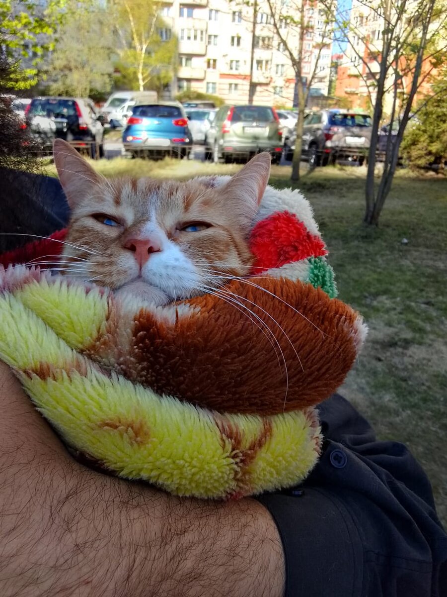 Идём в больницу