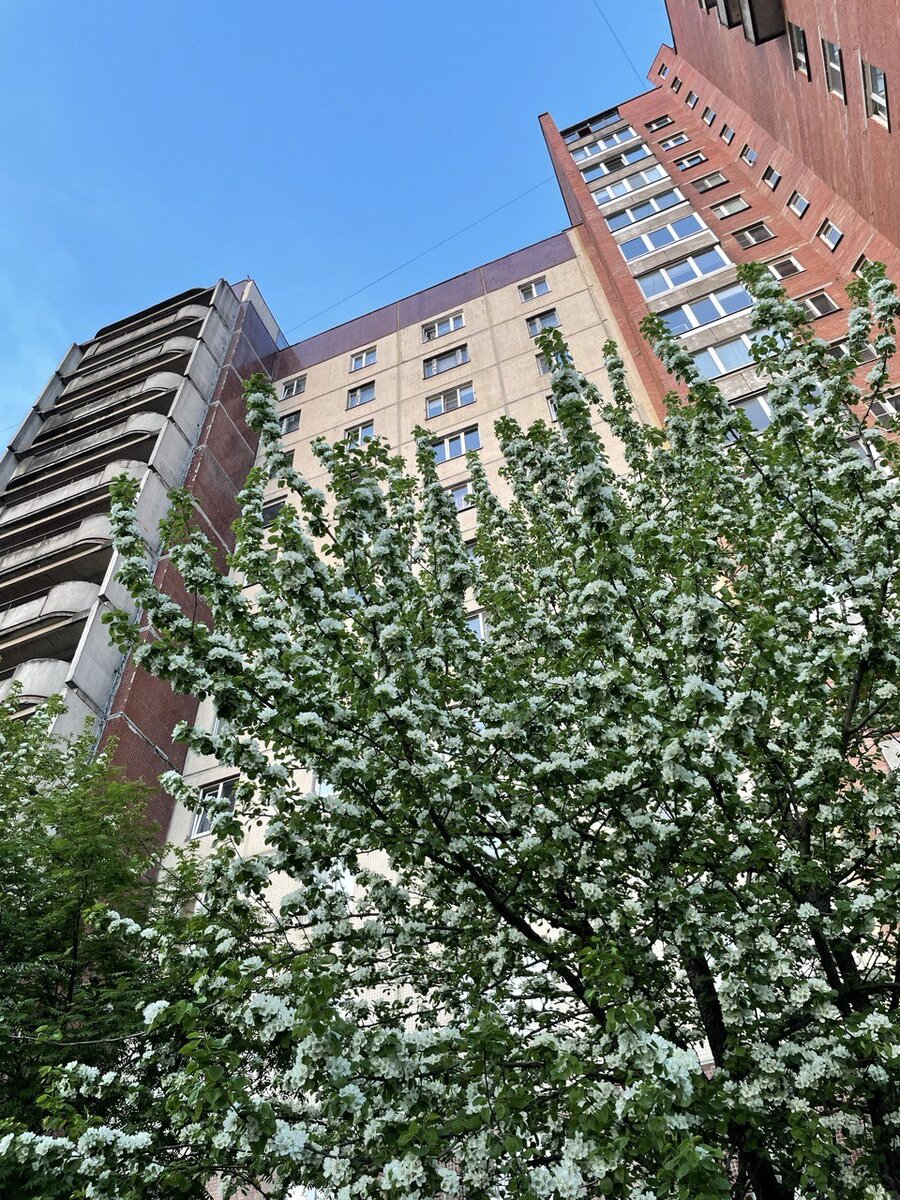 Автор. Дудукин Денис