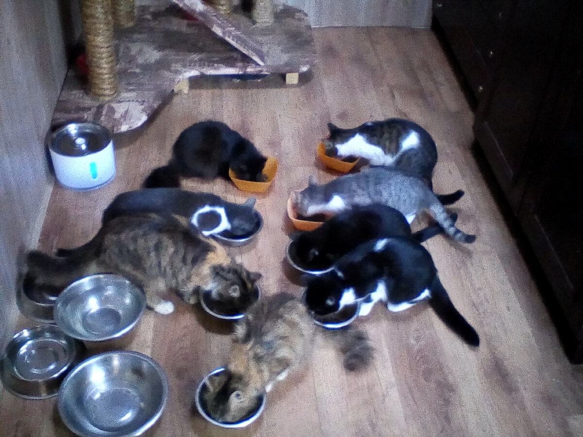 Время жрикать :)