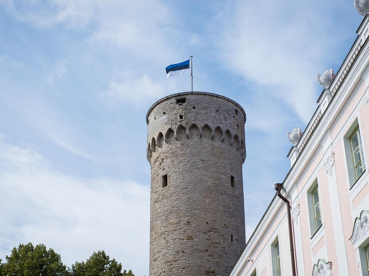    Флаг Эстонии на башне "Длинный Герман" в Таллине © iStock.com / jaanalisette