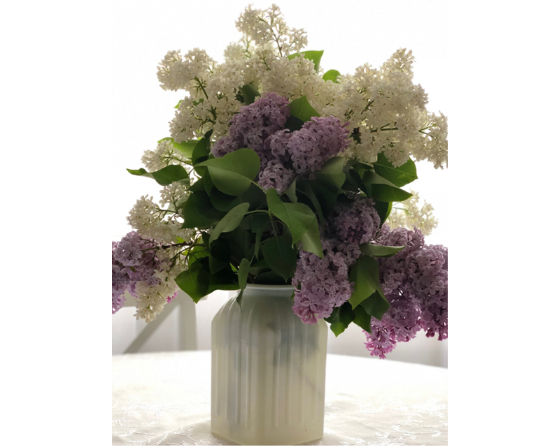 Чувствуете запах? Фото мое