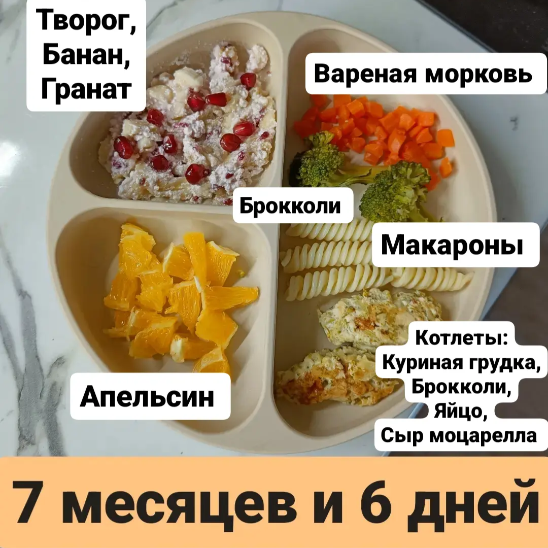 Пример тарелки в 7 месяцев 